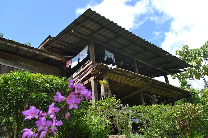 Full-Day Hike and Bike Tour from Chiang Mai - Is $75 a fair price?