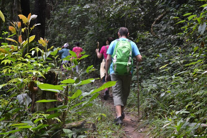 Full-Day Hike and Bike Tour from Chiang Mai - Waterfalls, snacks, and a Thai lunch