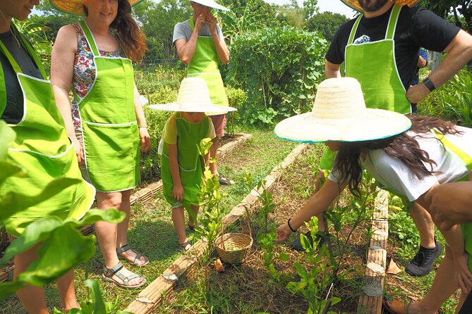 Full Day Thai Cooking at Farm (Chiang Mai) - Arriving at Smile Organic Farm