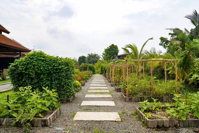 Full-Day Thai Cooking Class with Grandma - Market and Farm Tour - Eating What You Cooked in the Countryside