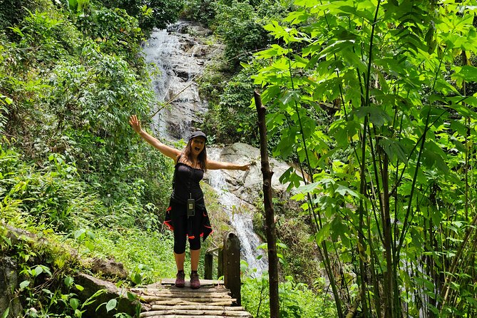 Full-Day Trekking and Sightseeing Tour in Mae Kampong - Looking for gibbons in their forest home