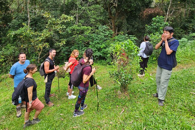 Full-Day Trekking and Sightseeing Tour in Mae Kampong - Lunch, local food, and time in the village