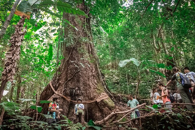 Full-Day Trekking and Sightseeing Tour in Mae Kampong - Walking through Mae Kampong village