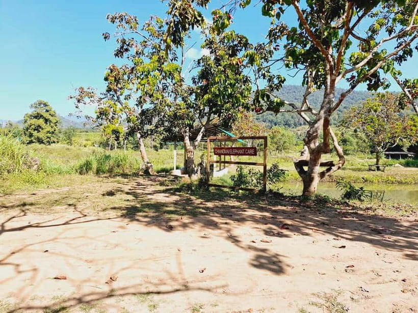 Full-day with CHIANGMAI ELEPHANT CARE and Sticky waterfall - Home-cooked lunch, fruit, and a change of clothes
