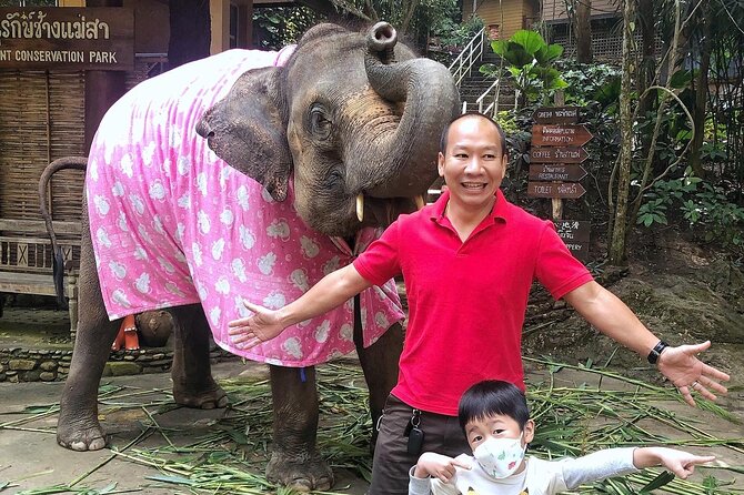 Half Day Car Hire with an English Speaking Driver in Chiang Mai - Is $99 good value for four hours?