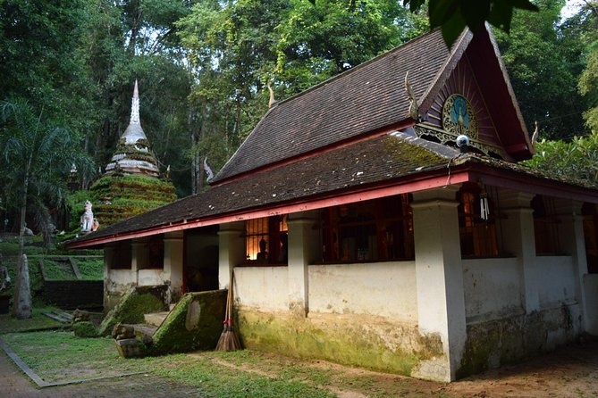 Half Day Doi Suthep Temple and Palad Temple (Private tour) - What the Private Vehicle Adds