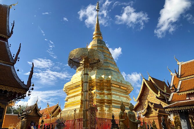 Half Day Doi Suthep Temple and Palad Temple (Private tour) - Morning or Afternoon: Choosing Your Slot