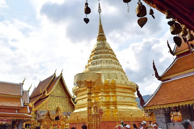 Half Day Doi Suthep Temple and Palad Temple (Private tour) - Price, Group Size, and Overall Value