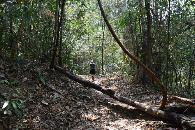 Half Day Doi Suthep Temple and short trekking on monk trail (Private Tour) - Why this half-day pairing works so well