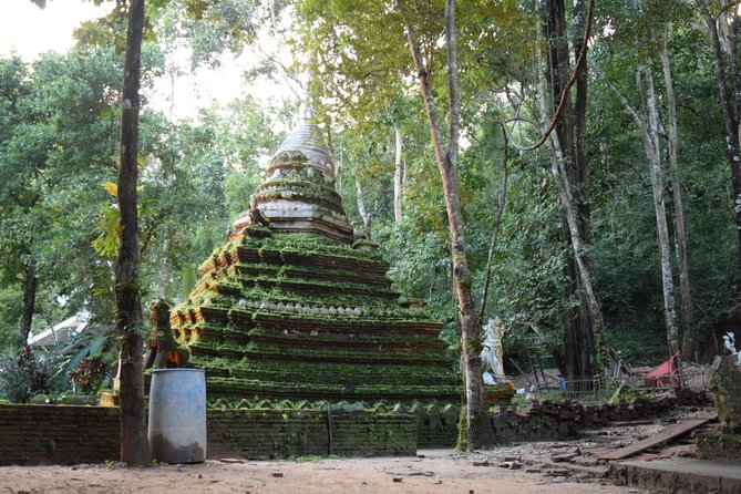 Half Day Doi Suthep Temple and short trekking on monk trail (Private Tour) - Who should book this experience?