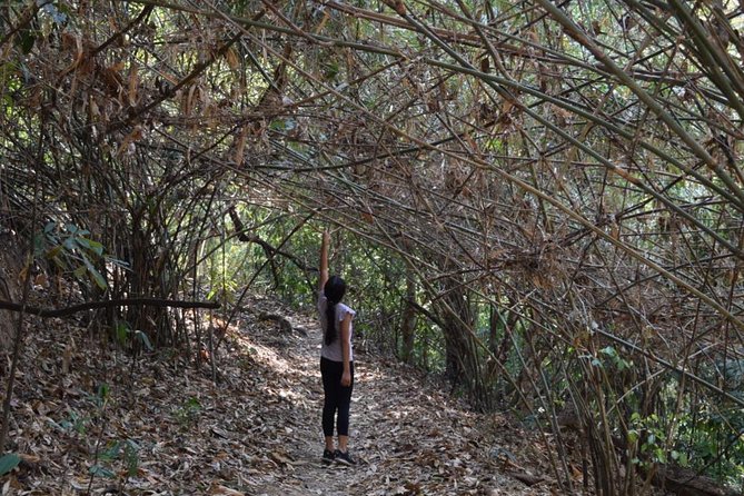 Half Day Doi Suthep Temple and short trekking on monk trail (Private Tour) - Wat Pha Lat, where the morning slows down