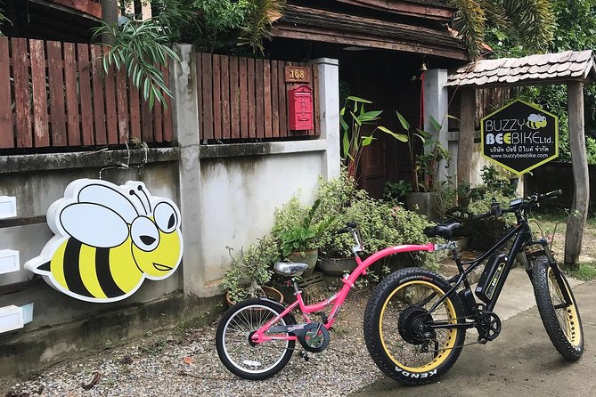 Half-day E-bike Countryside and rice paddies (flat land, GUIDED) - Why this ride works beyond Chiang Mai’s old city