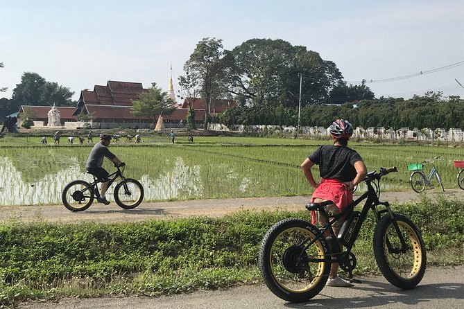 Half-day E-bike Countryside and rice paddies (flat land, GUIDED) - The Ping River and Wat Chang Nam
