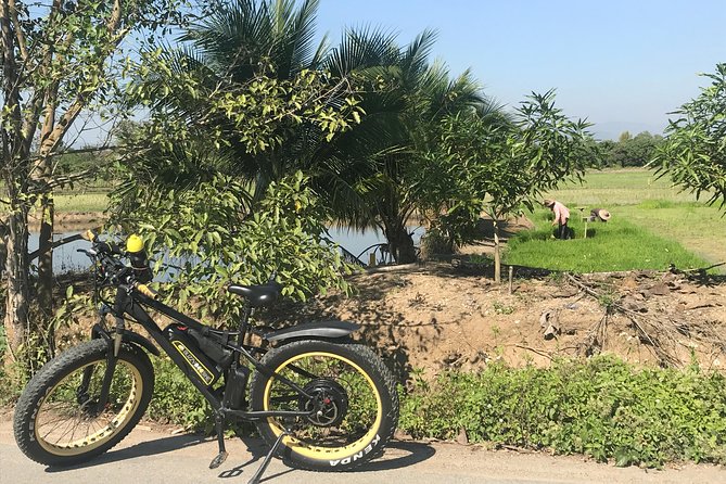 Half-day E-bike Countryside and rice paddies (flat land, GUIDED) - Food, water, and the finish at base camp