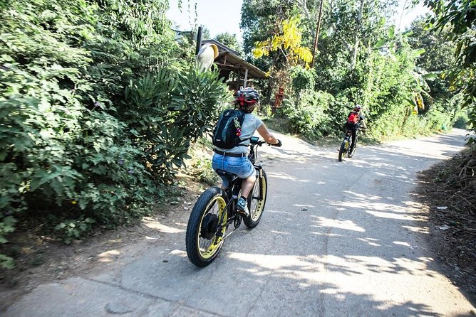 Half-day E-bike Countryside and rice paddies (flat land, GUIDED) - How difficult is the e-bike ride?