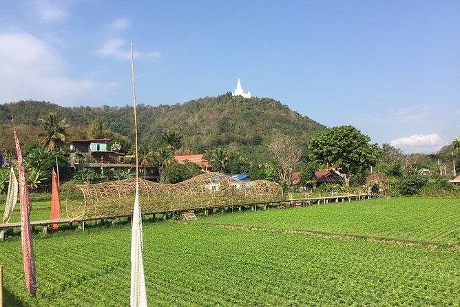 Half-day E-bike Nam Phrae (hilly, fully paved roads, GUIDED) - A country ride south of Chiang Mai