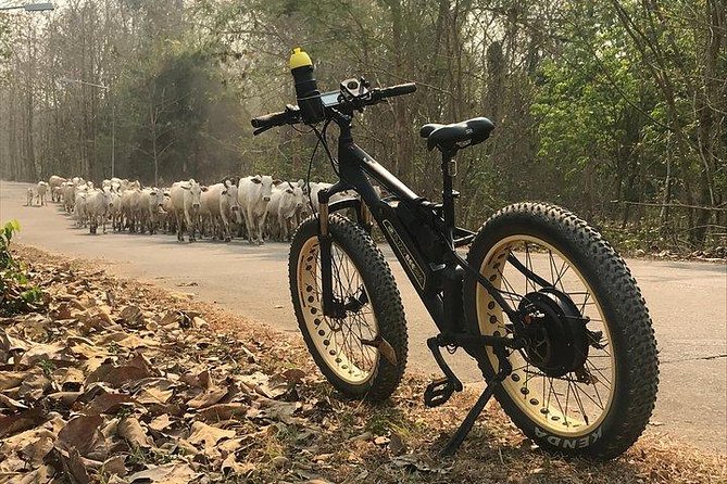 Half-day E-bike Nam Phrae (hilly, fully paved roads, GUIDED) - Wat Ton Kwen and the temple stop