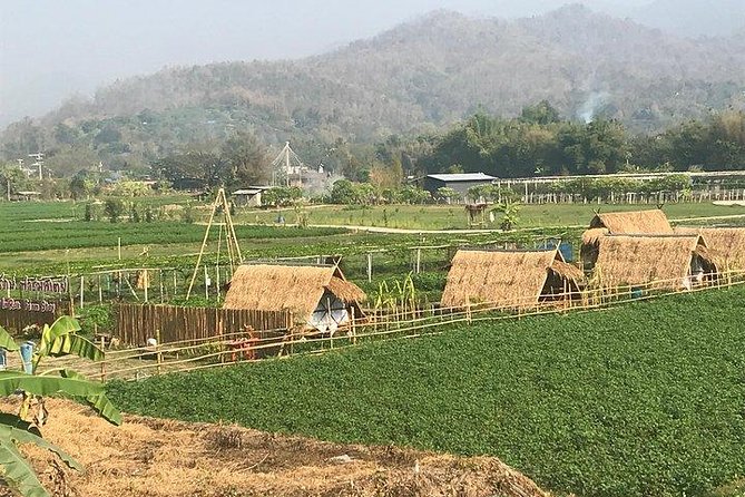 Half-day E-bike Nam Phrae (hilly, fully paved roads, GUIDED) - Food after the ride