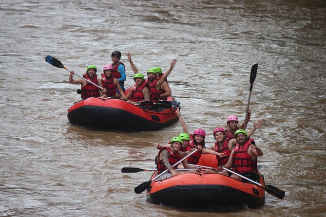 Half Day Elephant care and Whitewater Rafting Adventure - Two very different halves in one Chiang Mai outing