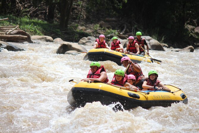 Half Day Elephant care and Whitewater Rafting Adventure - What the guide adds to the morning