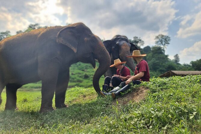 Half-Day Elephant Experience at Rantong - A simple Thai meal before the ride home