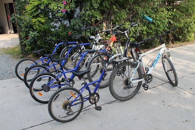 Half-Day Lanna Countryside Cycling Tour in Chiang Mai - Who will enjoy this ride most