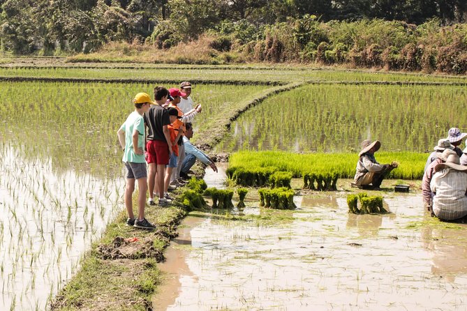 Half-Day Lanna Countryside Cycling Tour in Chiang Mai - Rice fields, stilt houses, and quiet back roads