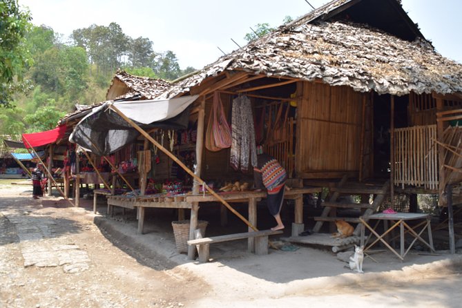 Half Day Long Neck hill tribe and Elephant POOPOOPAPER Park (Private Tour) - Practical booking details to keep in mind