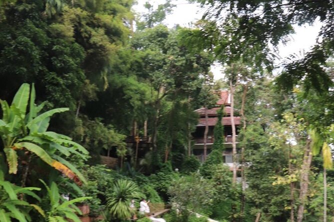 Half Day Morning Wat Pha Lat & Wat Phra That Doi Suthep Tour - Wat Phra That Doi Suthep and the 306-step climb
