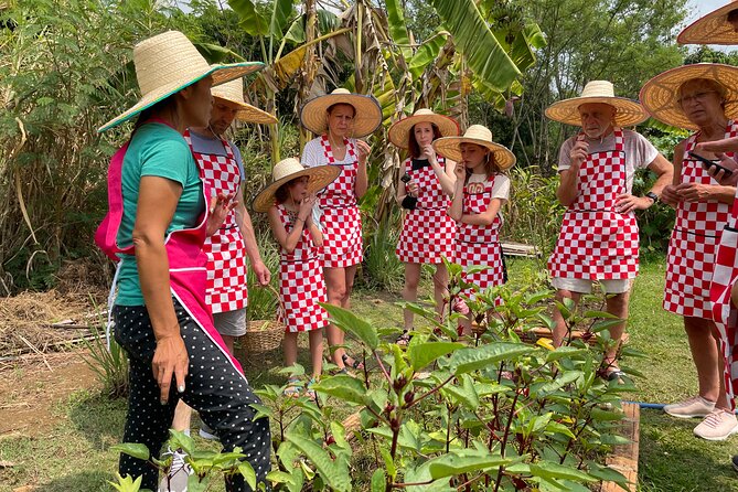 Half-Day Thai Cooking Class at Organic Farm in Chiang Mai - Key points at a glance