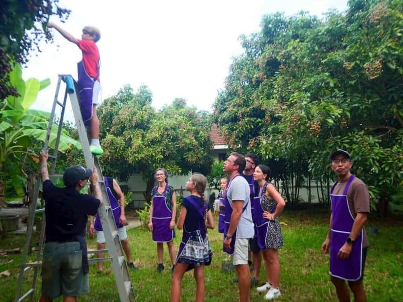Half-Day Thai Cooking Class on a Local Farm Near Chiang Mai - From Chiang Mai market to the farm