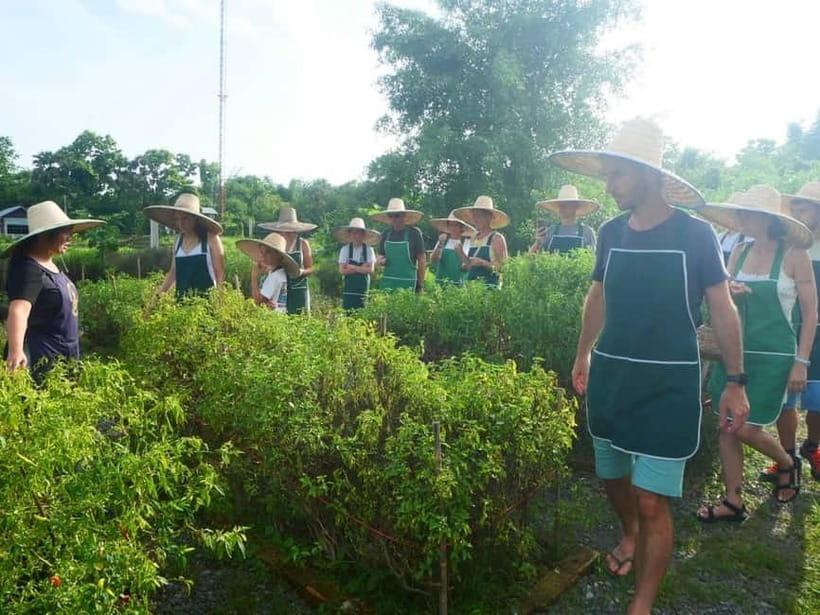 Half-Day Thai Cooking Class on a Local Farm Near Chiang Mai - Timing, pickup, and planning details