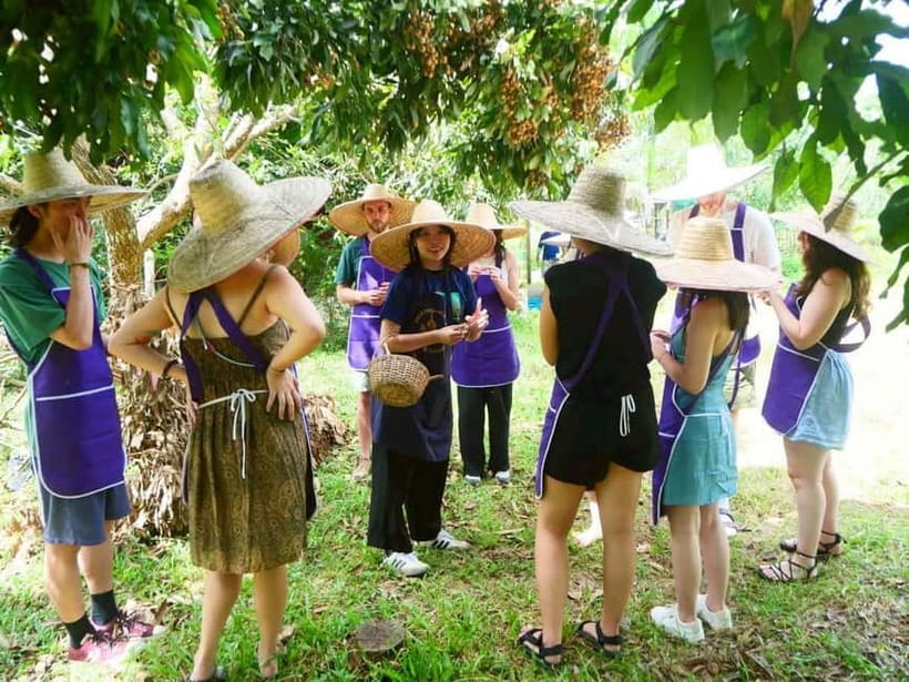 Half-Day Thai Cooking Class on a Local Farm Near Chiang Mai - Walking through an organic herb garden