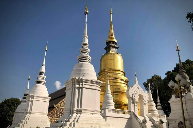 Half Day tour Suan Dok Temple, Umong temple & Doi Suthep Temple - Wat Umong’s tunnels and forest setting
