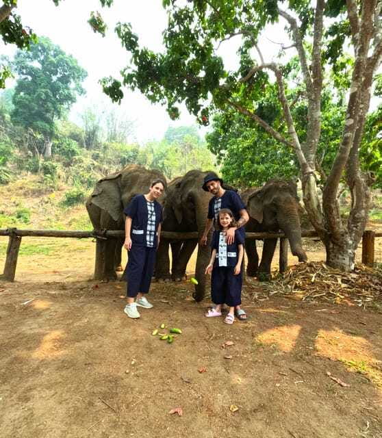 Half-day with CHIANGMAI ELEPHANT CARE program (12pm-6pm.) - Making herbal medicine balls for elephant health