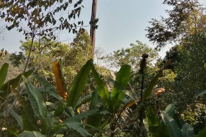 Hiking and Zipline Private Tour from Chiang Mai +Karen Village - Mae Sa Waterfall, with time to slow down