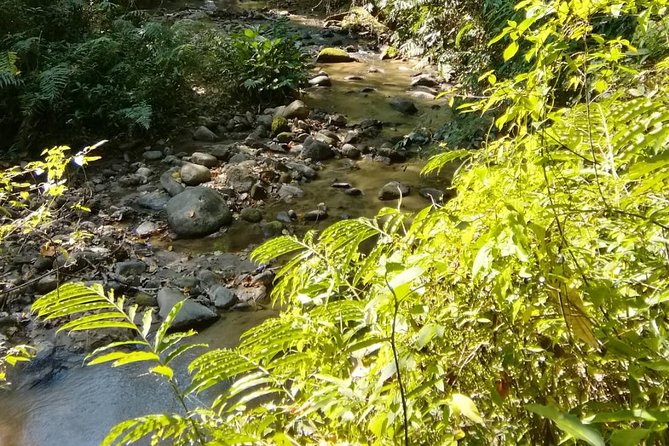 Hiking and Zipline Private Tour from Chiang Mai +Karen Village - Meeting the Karen community