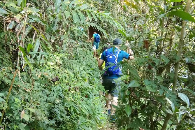 Hiking and Zipline Private Tour from Chiang Mai +Karen Village - Hiking through Mae Sa’s forest