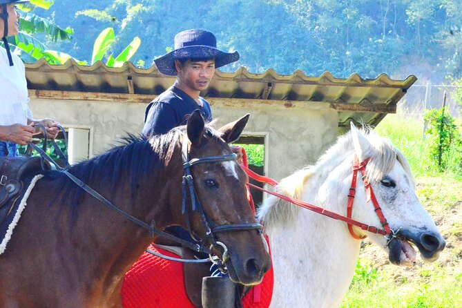 Horse Lesson+Riding+Wat Tonkwen wooden temple.Chiangmai - Wat Ton Kwen gives the morning a cultural start