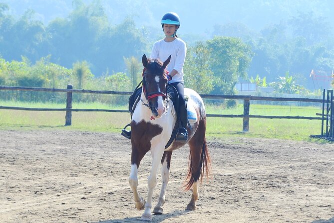 Horse Lesson+Riding+Wat Tonkwen wooden temple.Chiangmai - Cancellation and weather planning