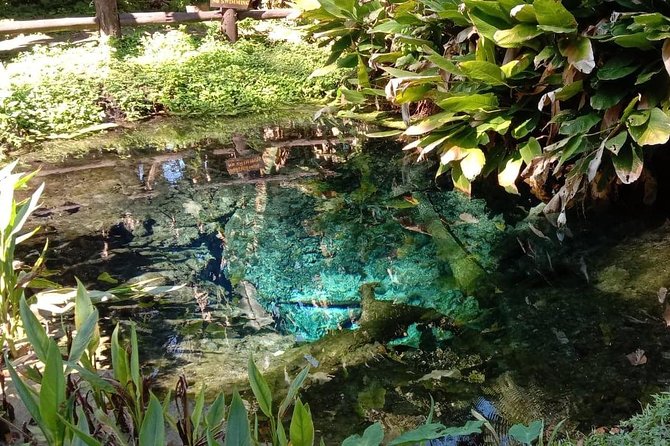 Hot! Doisuthep Temple+Wat Palad+Sticky waterfall - Climbing Bua Thong Sticky Waterfall