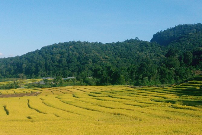 Inthanon Day Trip from Chiang Mai with Lunch - Group or Private - Doi Inthanon’s high point and the Ang Ka Nature Trail