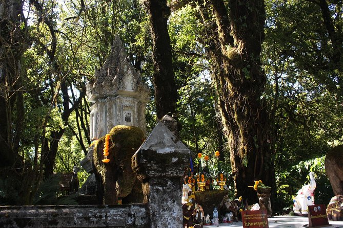 Inthanon Day Trip from Chiang Mai with Lunch - Group or Private - Ban Mae Klang Luang and Karen coffee