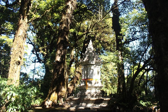 Inthanon Day Trip from Chiang Mai with Lunch - Group or Private - How the group size affects the experience