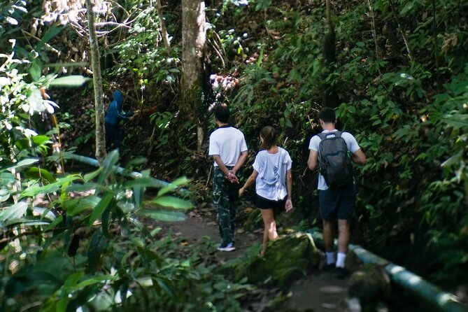 Inthanon National Park Tour with Soft Hike at Pha Dok Siew Trail - The Pha Dok Siew hike is the heart of the day