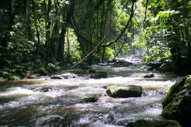 Inthanon National Park Tour with Soft Hike at Pha Dok Siew Trail - What the $107.42 price covers