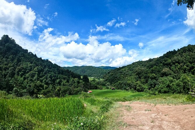 Inthanon National Park Tour with Soft Hike at Pha Dok Siew Trail - Timing, pickup, and what to bring