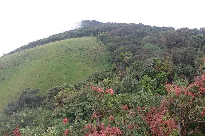 Inthanon Small-Group with Kew Mae Pan Trail from Chiang Mai include Lunch - Why Doi Inthanon makes a worthwhile day from Chiang Mai