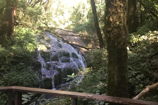 Inthanon Small-Group with Kew Mae Pan Trail from Chiang Mai include Lunch - Reaching 8,415 feet at Thailand’s highest summit
