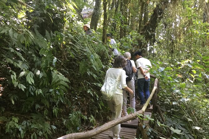 Inthanon Small-Group with Kew Mae Pan Trail from Chiang Mai include Lunch - How the small-group setup affects your day